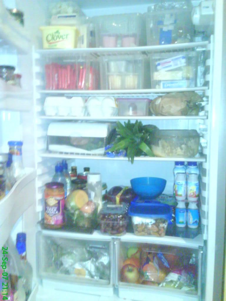 DSC01850.jpg