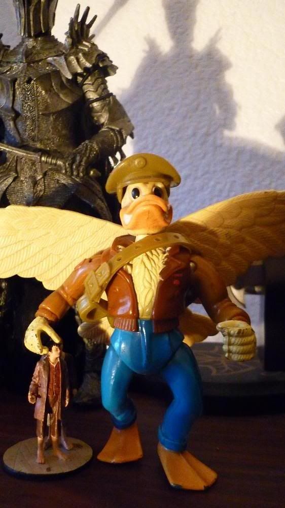 AceDuck.jpg