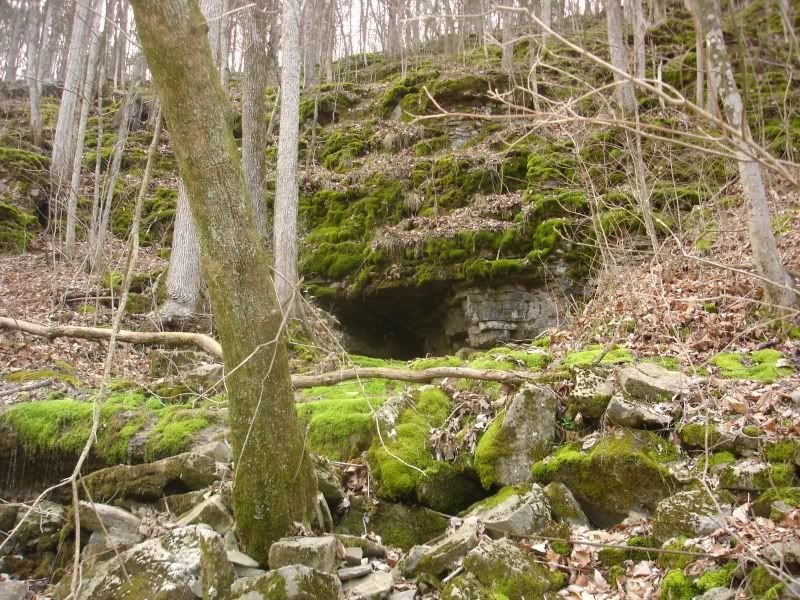 Caves In Tennessee