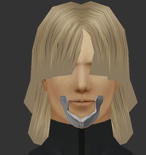 R4-face1.jpg