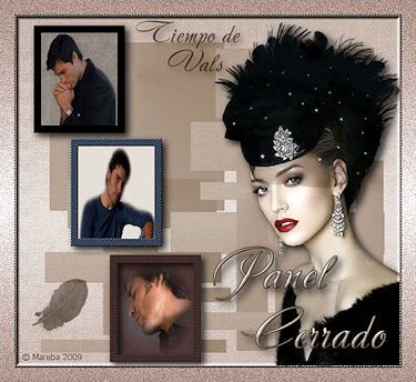 PANELCERRADO.jpg PANEL CERRADO picture by Mareba2007