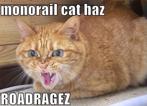 funny-pictures-monorail-cat-has-roa.jpg