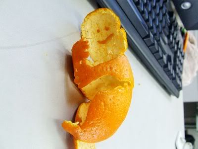  Arts on fruits : Peeled  Orange Arts -man 