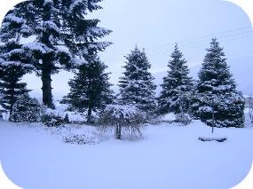 snow Pictures, Images and Photos