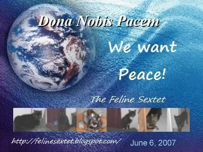 Our Peace Globe