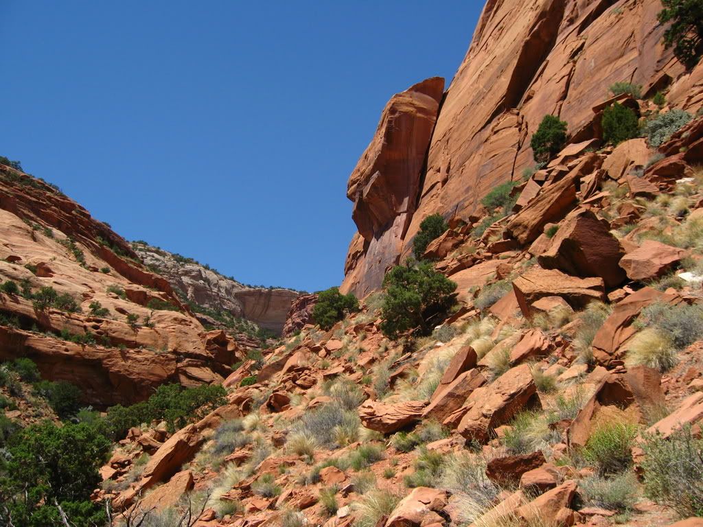 photoscanyonlands6-1-08053.jpg