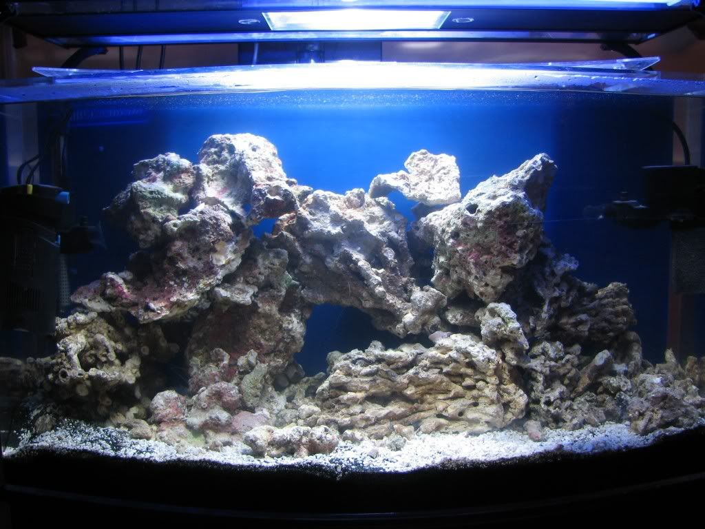 Aquariumstep1.jpg