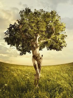 Nature_Alive_by_Valexina.jpg