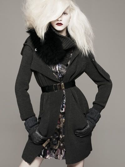 ginta lapina