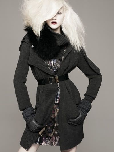 ginta lapina
