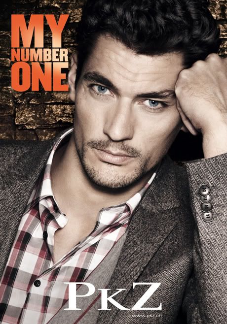 Another campaign for David Gandy there's moe of PKZ adverts after the jump