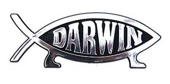Darwin_Car2.jpg