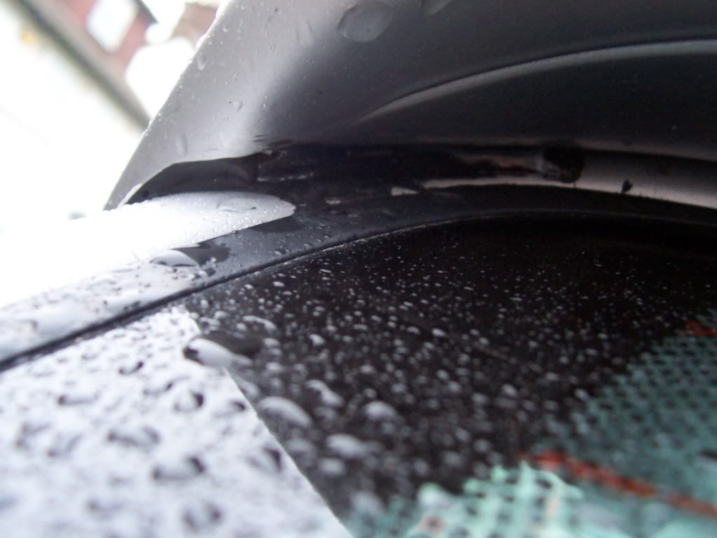 Tiger Seal Adhesive Detailing World Forum