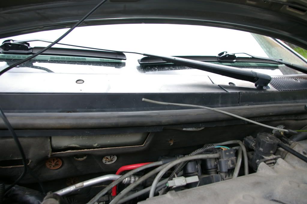 IMGP9996.jpg