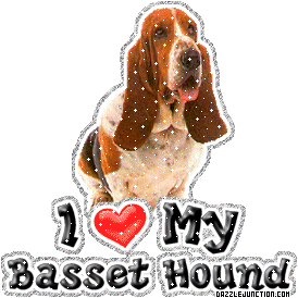 basset-hound-1.gif image by dazzlej2