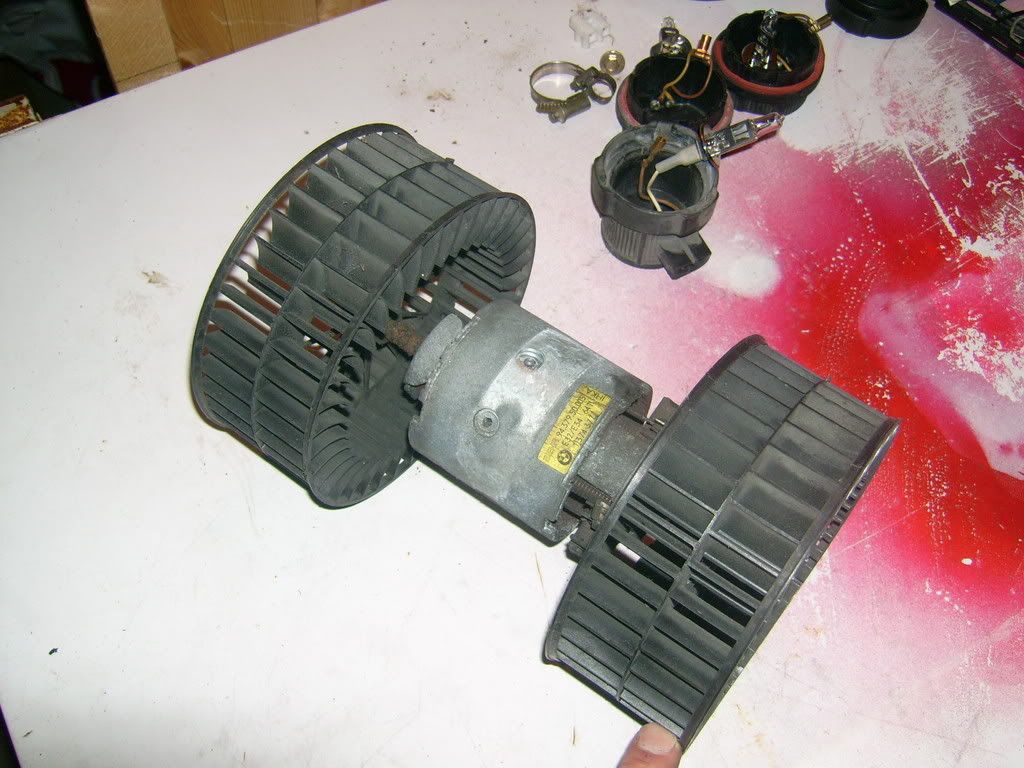 DSCI0054.jpg