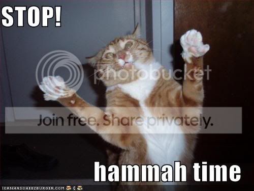 funny-pictures-mc-hammer-cat.jpg