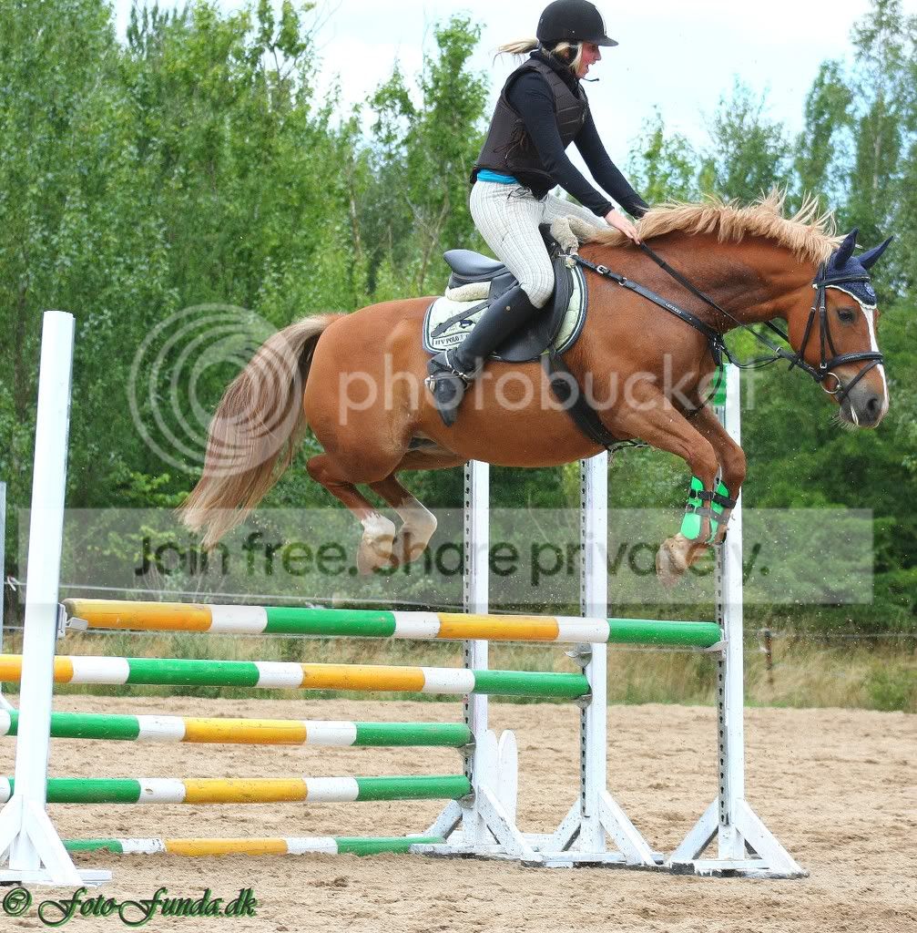 Spring billeder - RIGTIG mange. - Opslag, billeder og video - Heste ...