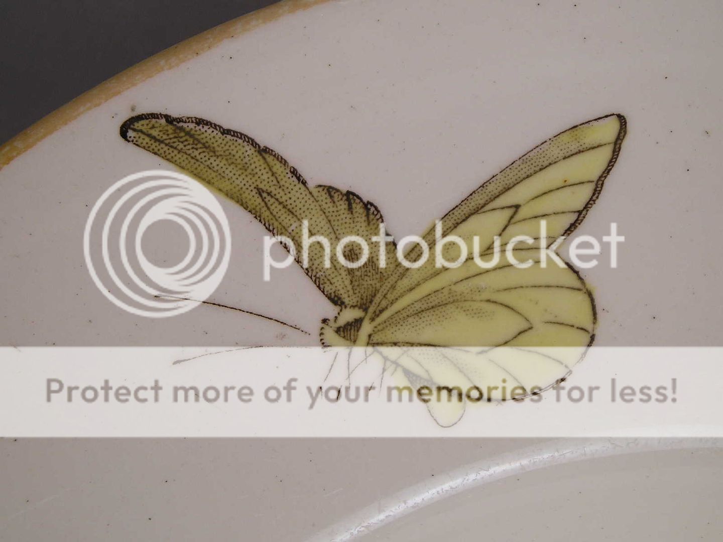 Boote Platter 15 Butterfly Bird Transferware Antique Old Hand 