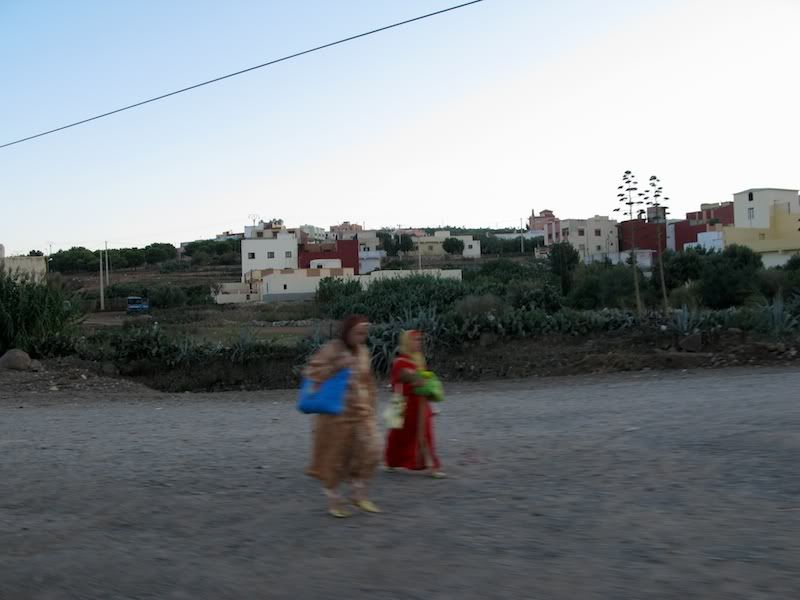 IMG_1270.jpg