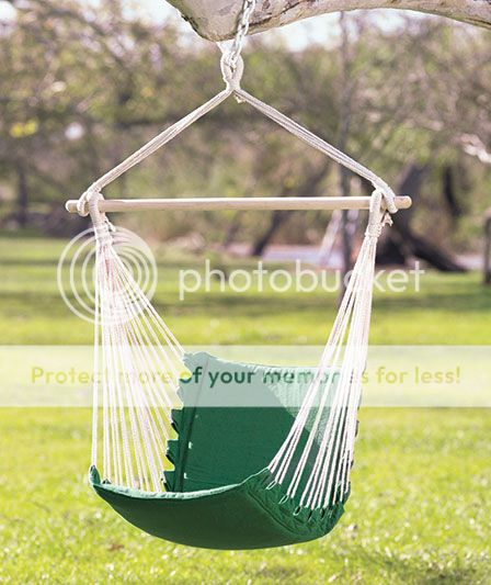 Hammock Swinging Chair Relaxing Soft Foam Cushioned Seat Outdoors Swing Nature